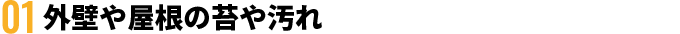 外壁や屋根の苔や汚れ
